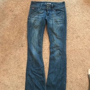 Hudson bootcut size 25